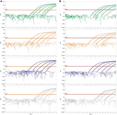 Retrospective survey of Dickeya fangzhongdai using a novel validated real-time PCR assay
